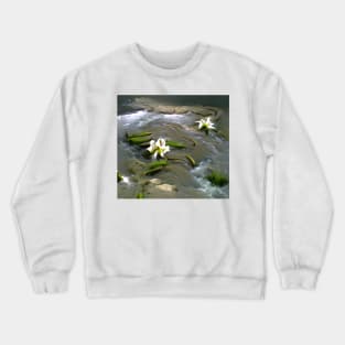 Water Lily Crewneck Sweatshirt